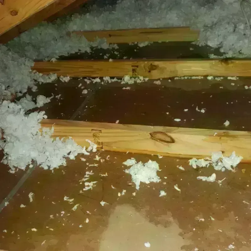 Attic Water Damage in Durham, CT